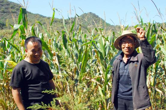 中石油買山造地留住農民的根