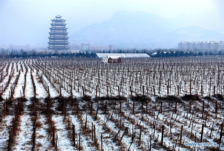 #CHINA-SHANDONG-SNOWFALL (CN)