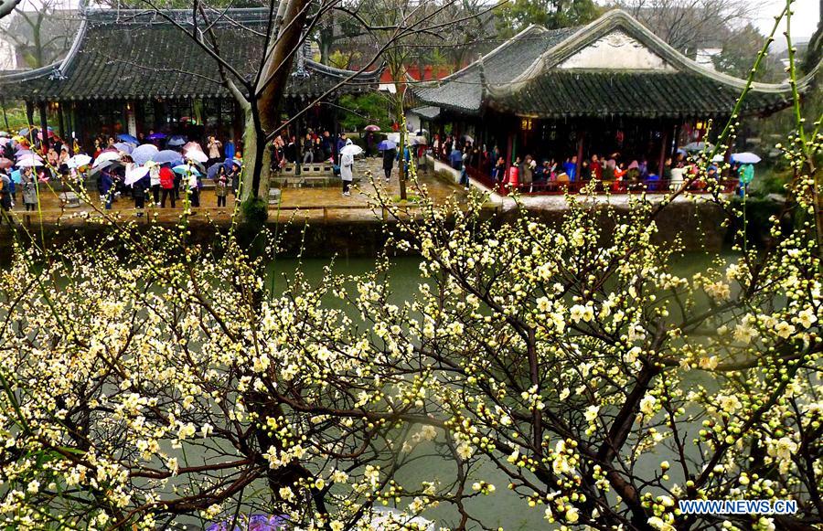 #CHINA-FLOWERS IN THE RAIN-SCENERY (CN)