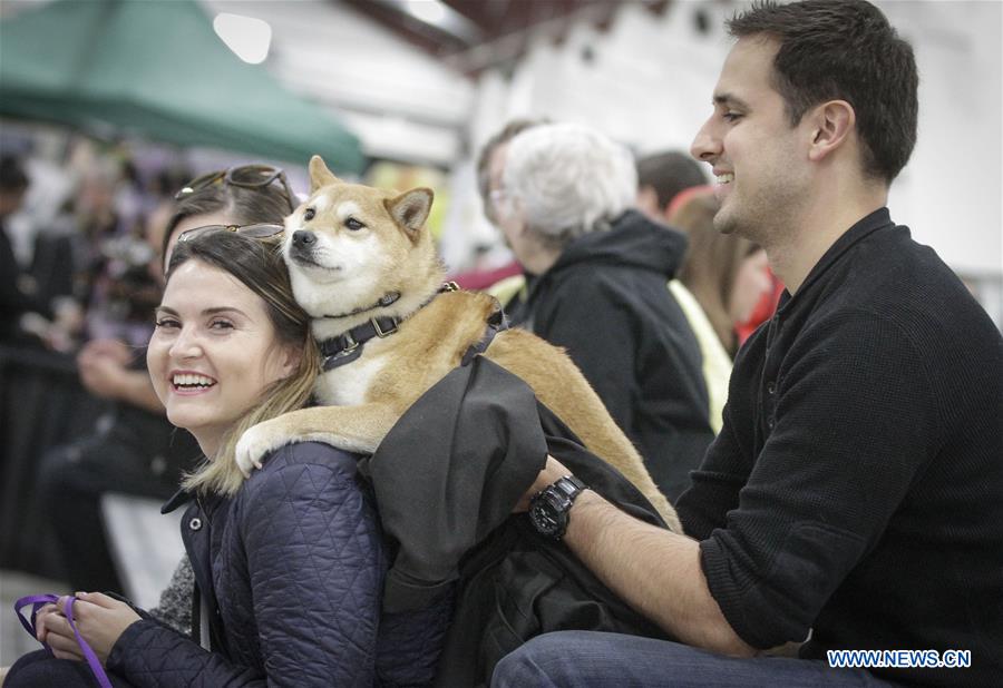 CANADA-VANCOUVER-PET LOVER SHOW