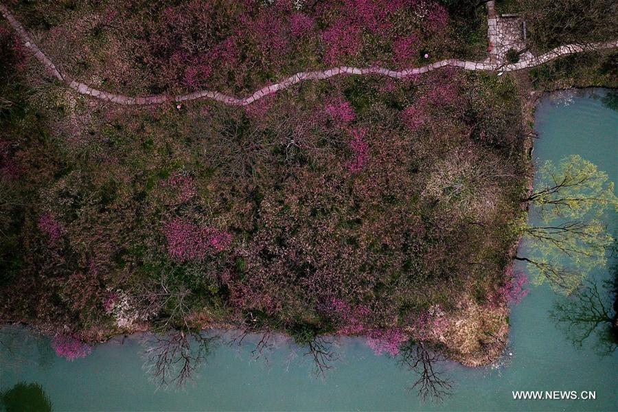 CHINA-HANGZHOU-XIXI NATIONAL WETLAND PARK(CN)