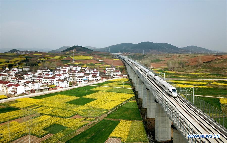 #CHINA-SPRING SCENERY-COLE FLOWERS (CN)