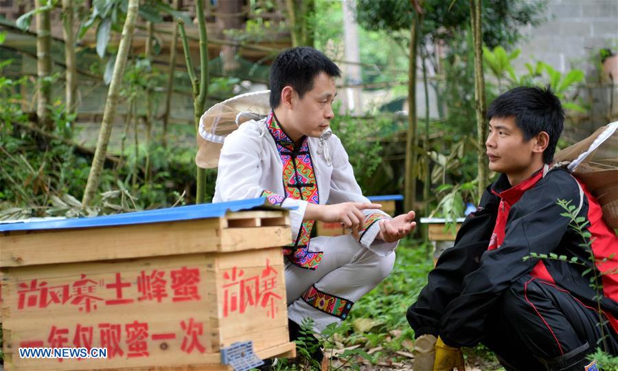 #CHINA-HUBEI-LAIFENG-RURAL ENTREPRENEUR STORY (CN)