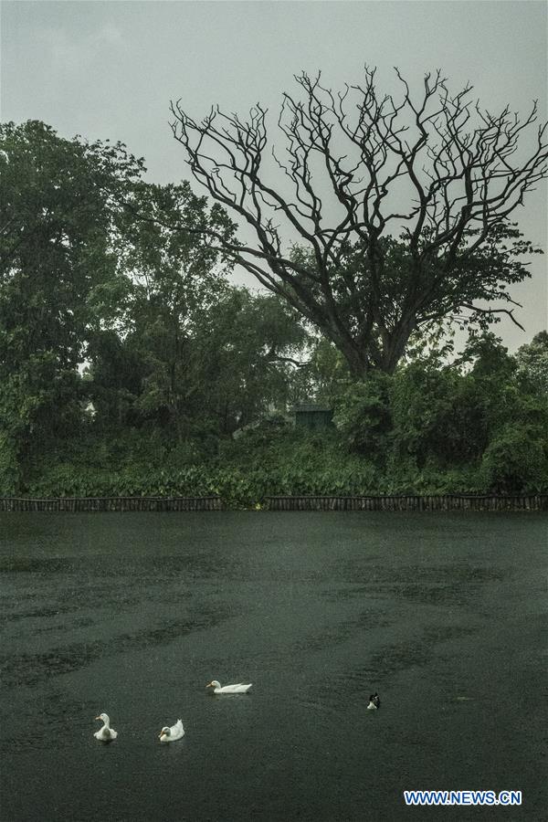 INDIA-KOLKATA-RAIN