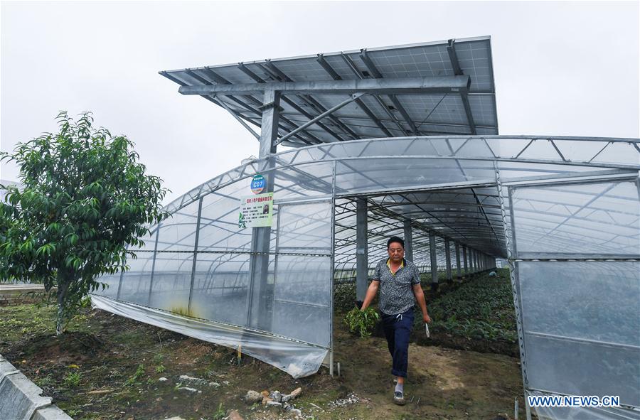 CHINA-ZHEJIANG-CHANGXING-PHOTOVOLTAIC AGRICULTURE (CN)