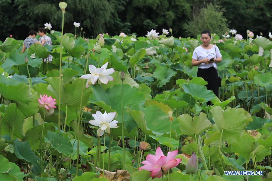 CHINA-GUIZHOU-ECO FORUM-UPCOMING (CN)