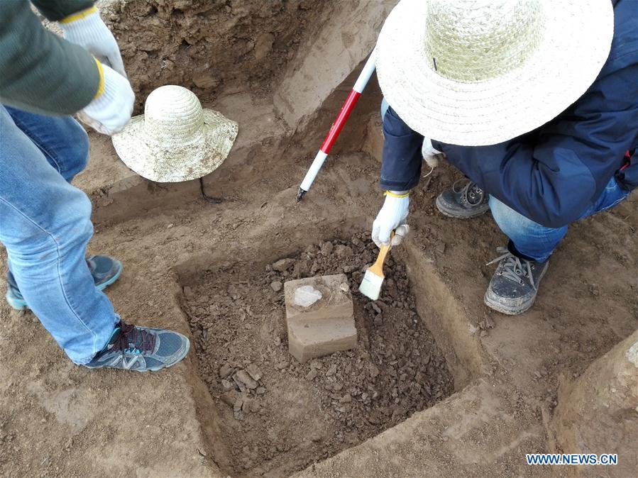 #CHINA-SHAANXI-EARLIER HUMANITY-DISCOVERY (CN*)