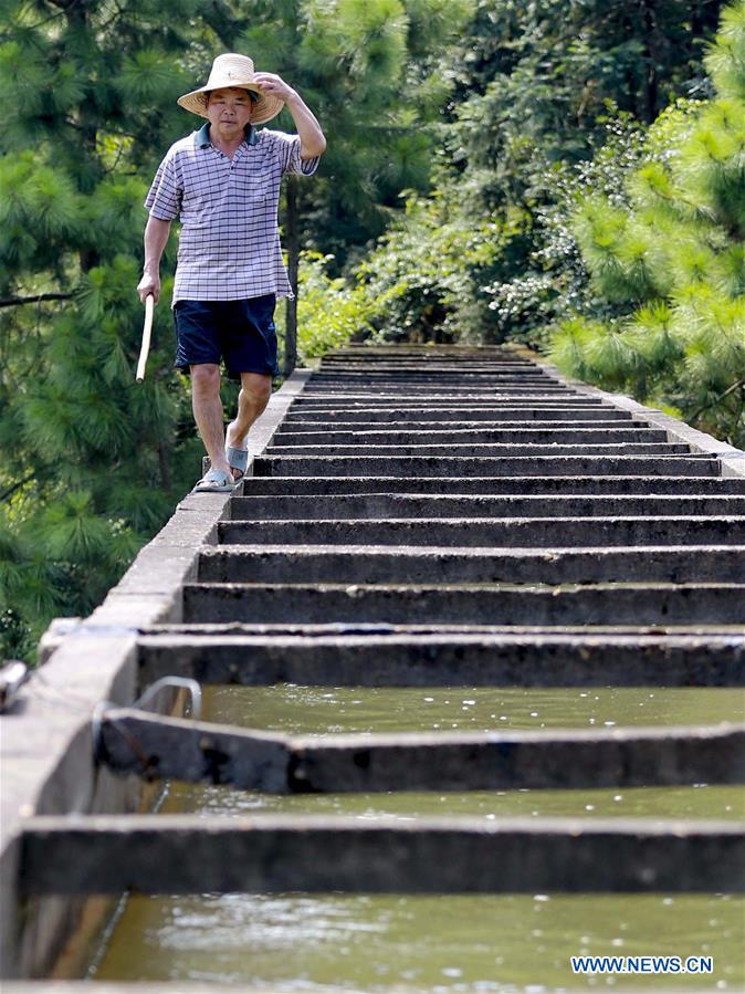 #CHINA-JI'AN-IRRIGATION DITCH-INSPECTION (CN)