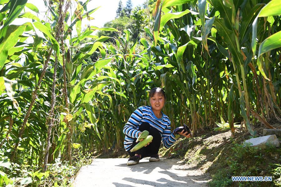 CHINA-CHONGQING-DISABLED FEMALE FARMER (CN)