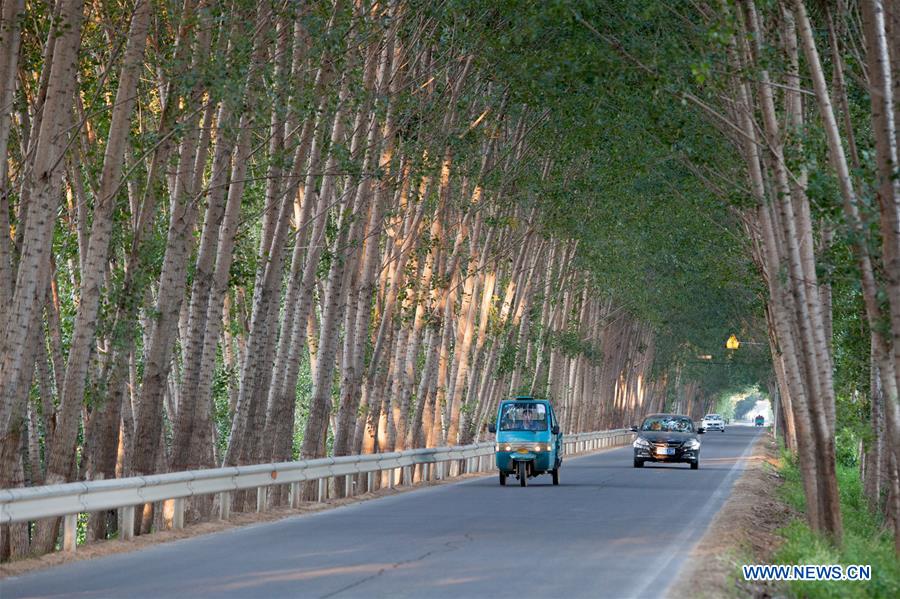 #CHINA-SHANDONG-GAOQING-ROAD (CN)