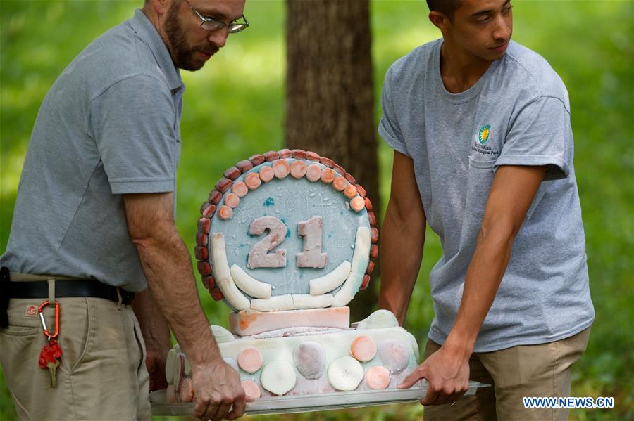 U.S.-WASHINGTON D.C.-GIANT PANDA-TIAN TIAN-BIRTHDAY