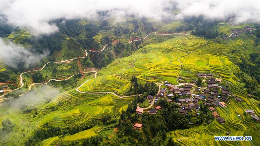 CHINA-AUTUMN-HARVEST(CN)