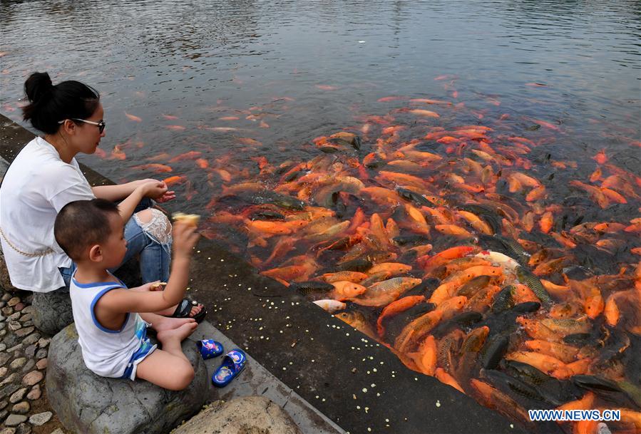 CHINA-FUJIAN-RIVER-FISH (CN)