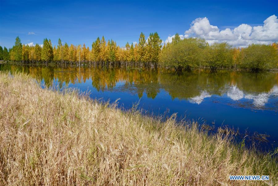 CHINA-TIBET-SCENERY (CN)