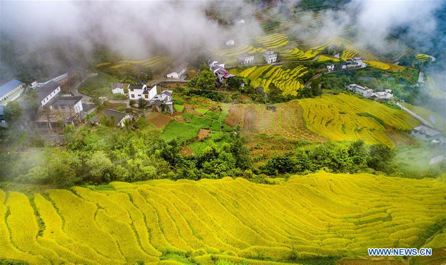 CHINA-SHAANXI-TERRACED FIELDS (CE)