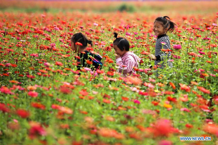 #CHINA-JIANGSU-AUTUMN SCENERY-FLOWER(CN)