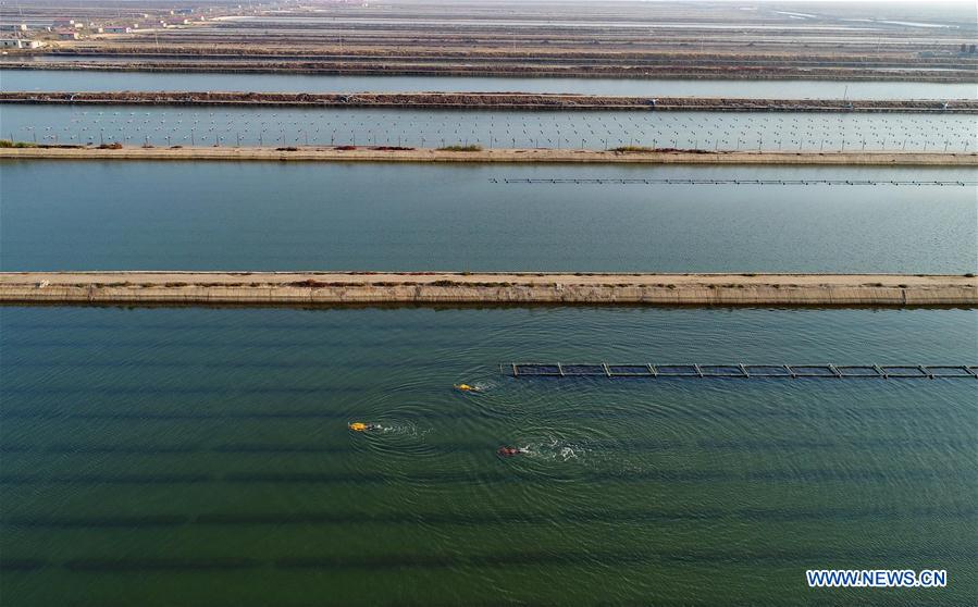 CHINA-HEBEI-SEA CUCUMBER-HARVEST (CN)