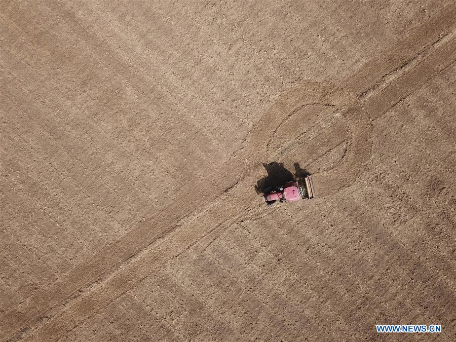 #CHINA-JIANGSU-FARM WORK (CN)