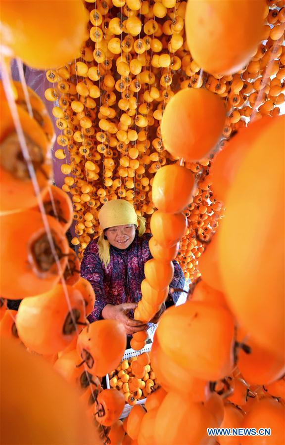 #CHINA-SHANDONG-ZIBO-PERSIMMON (CN)