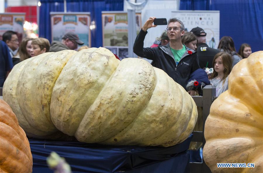 CANADA-TORONTO-ROYAL AGRICULTURAL WINTER FAIR