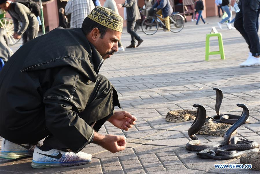 MOROCCO-MARRAKECH-JEMAA EL-FNAA SQUARE