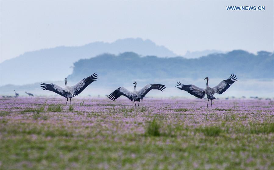 XINHUA PHOTO WEEKLY CHOICE