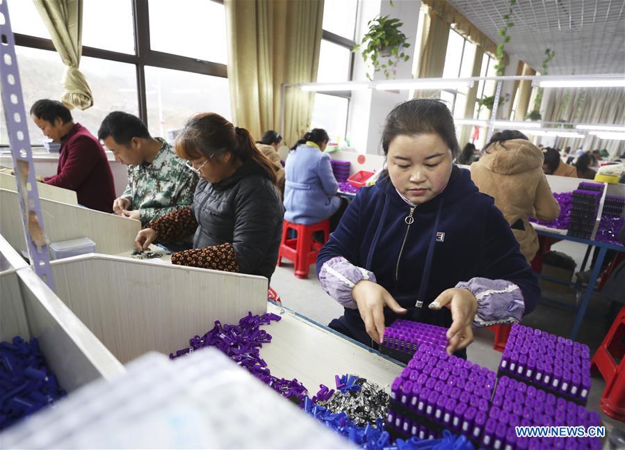 #CHINA-GUIZHOU-POVERTY ALLEVIATION-FACTORY (CN)