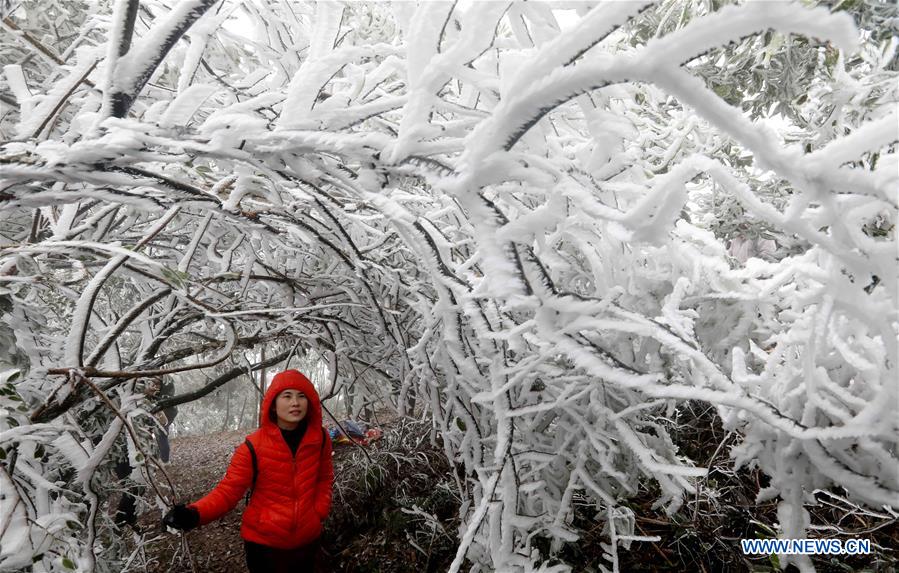 #CHINA-WINTER-RIME (CN)