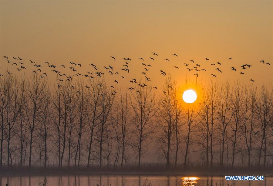 #CHINA-WEATHER-WINTER SCENERY (CN)