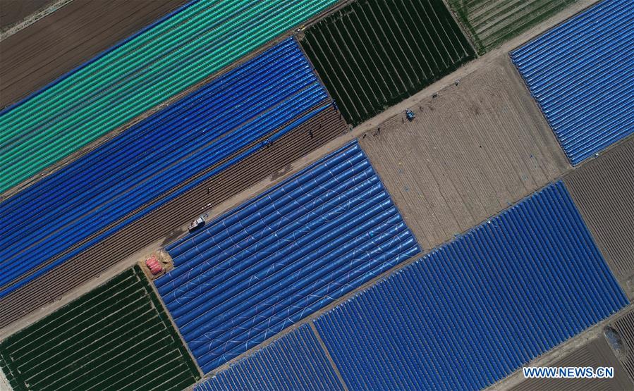 CHINA-COLOR-DRONE PHOTOS OF THE YEAR (CN)