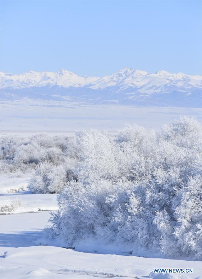 CHINA-XINJIANG-ZHAOSU-SNOW-SCENERY (CN)