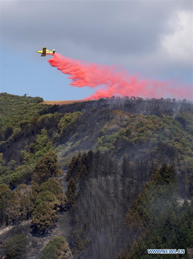 NEW ZEALAND-SOUTH ISLAND-WILDFIRE