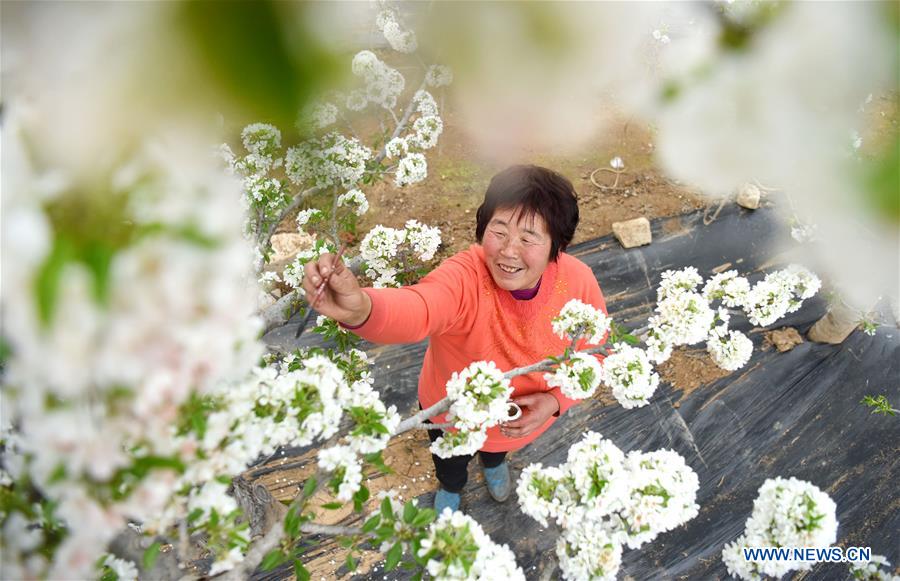 #CHINA-EARLY SPRING-FARMWORK (CN)