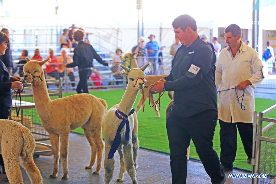 AUSTRALIA-CANBERRA-ROYAL CANBERRA SHOW