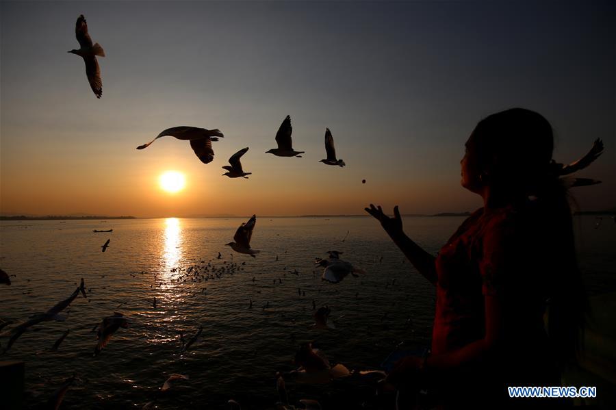 MYANMAR-MAWLAMYINE-GULLS-SUNSET