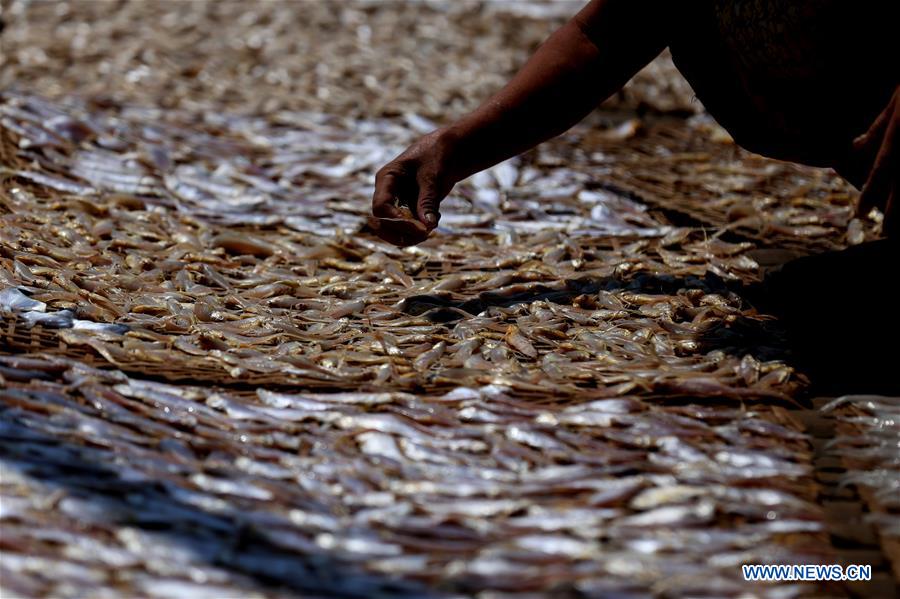 MYANMAR-THANBYUZAYAT-DRYING FISH