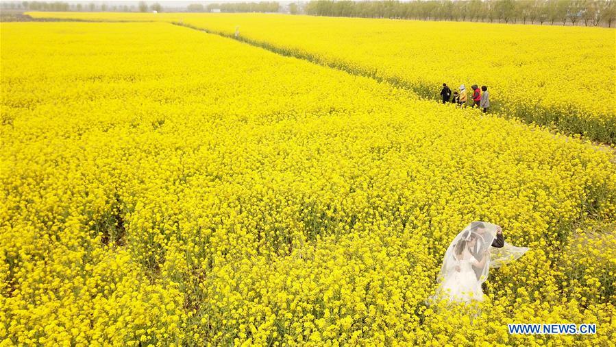 CHINA-SPRING-SCENERY (CN)