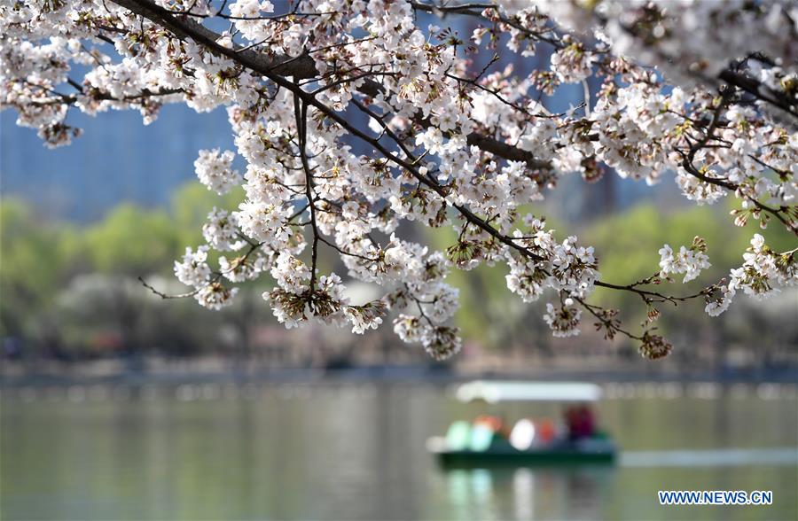 XINHUA PHOTOS OF THE DAY