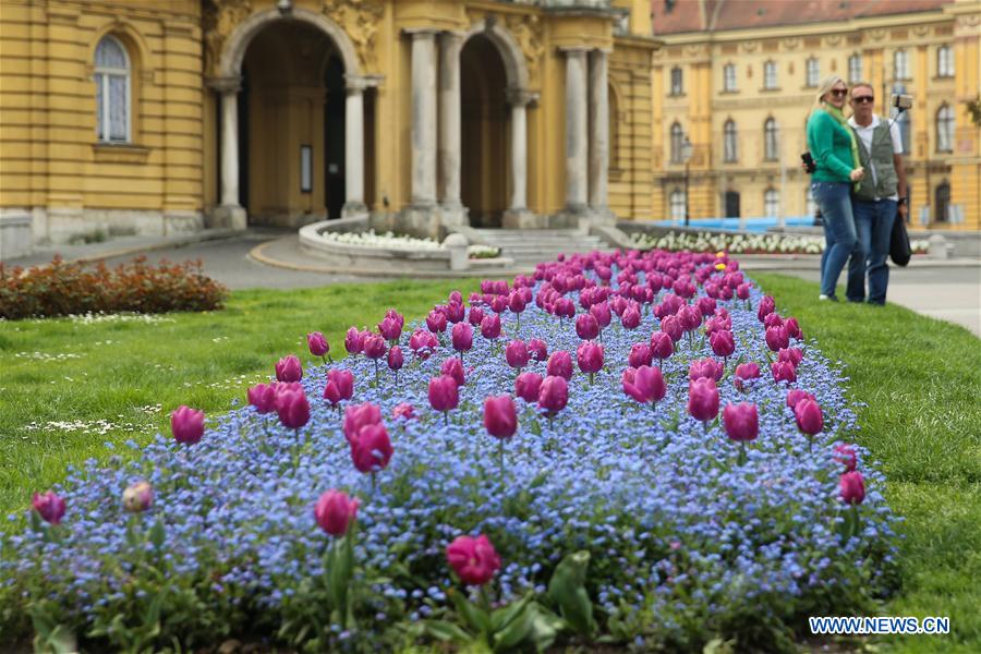 CROATIA-ZAGREB-SPRING-FLOWERS