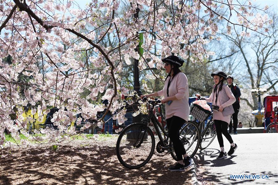  U.S.-NEW YORK-SPRING-SCENERY