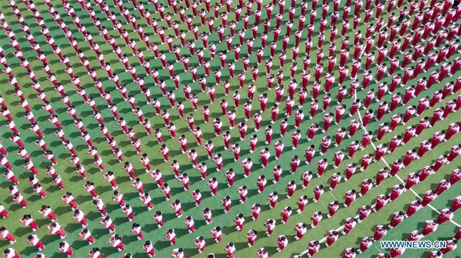 CHINA-JIANGSU-MUSICAL INSTRUMENT (CN)