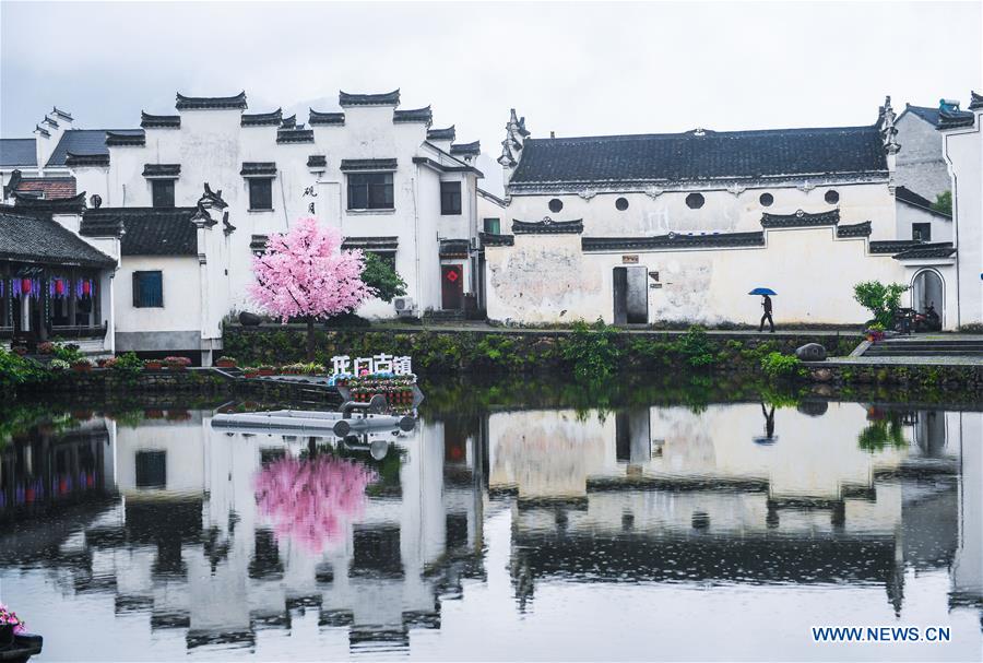 CHINA-ZHEJIANG-HANGZHOU-ANCIENT TOWN-FLOWER EXHIBITION (CN)