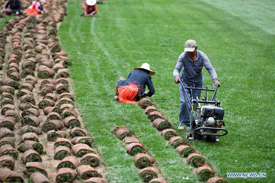 CHINA-ANHUI-TURF-ECONOMY (CN)