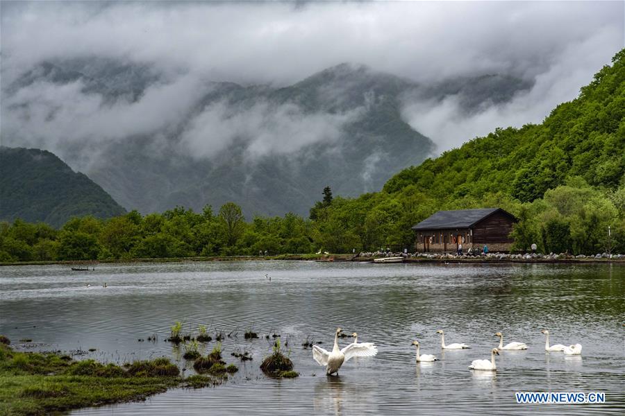 CHINA-HUBEI-SHENNONGJIA-SCENERY (CN)