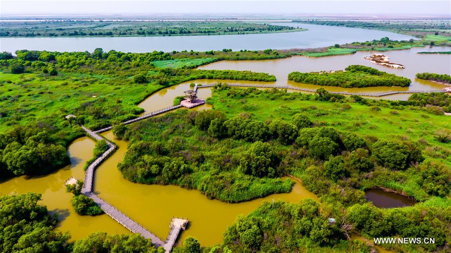 (EcoChina)CHINA-BEIJING-HORTICULTURAL EXPO-SHANDONG (CN)