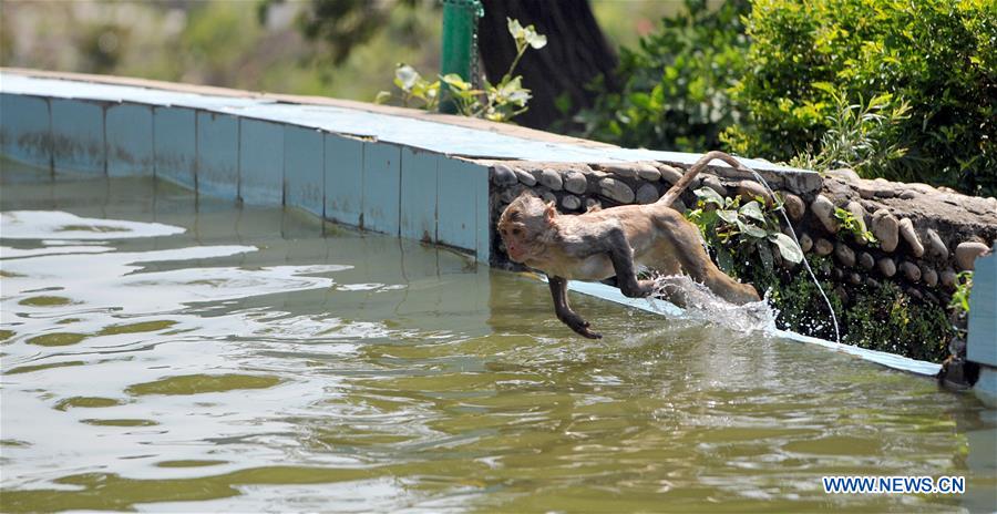 KASHMIR-SUMMER-HEAT WAVE