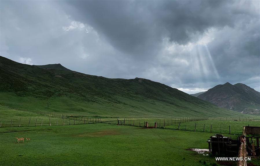 CHINA-QINGHAI-QILIAN-SCENERY (CN)