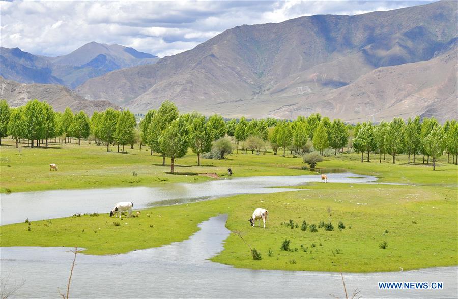 CHINA-TIBET-HIGHWAY-SCENERY(CN)