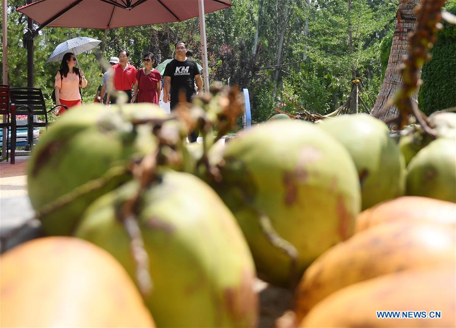 CHINA-BEIJING-HORTICULTURAL EXPO-HAINAN DAY (CN)