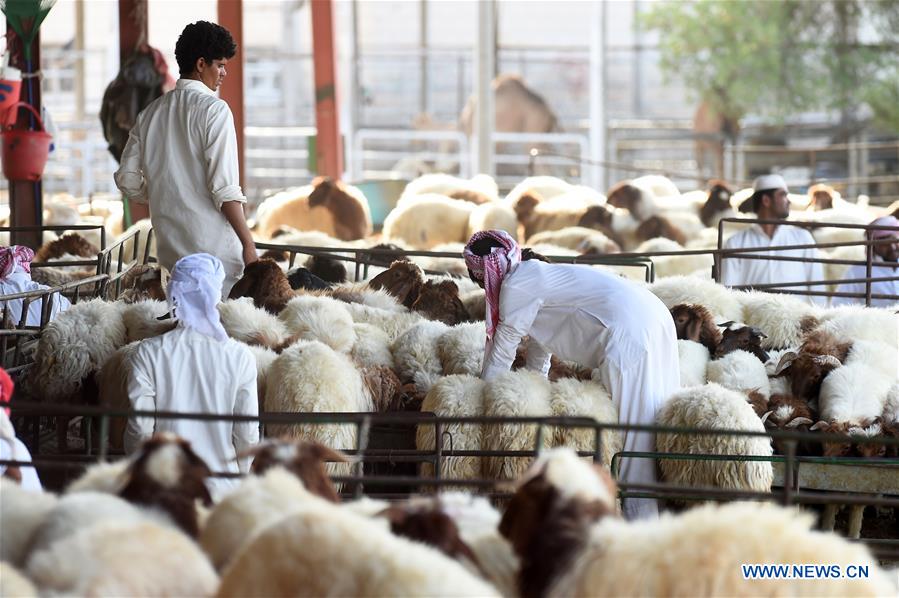 KUWAIT-AL-JAHRA GOVERNORATE-EID AL-ADHA-PREPARATION